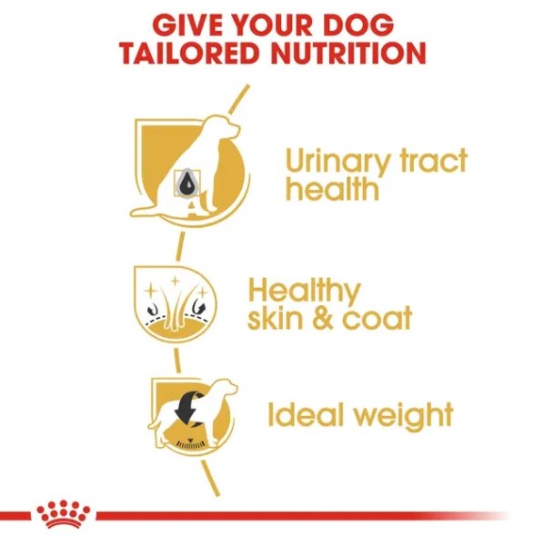 Royal Canin Bichon Frise Adult - Пълноценна суха храна за френски болонки в зряла възраст - 1.5 кг